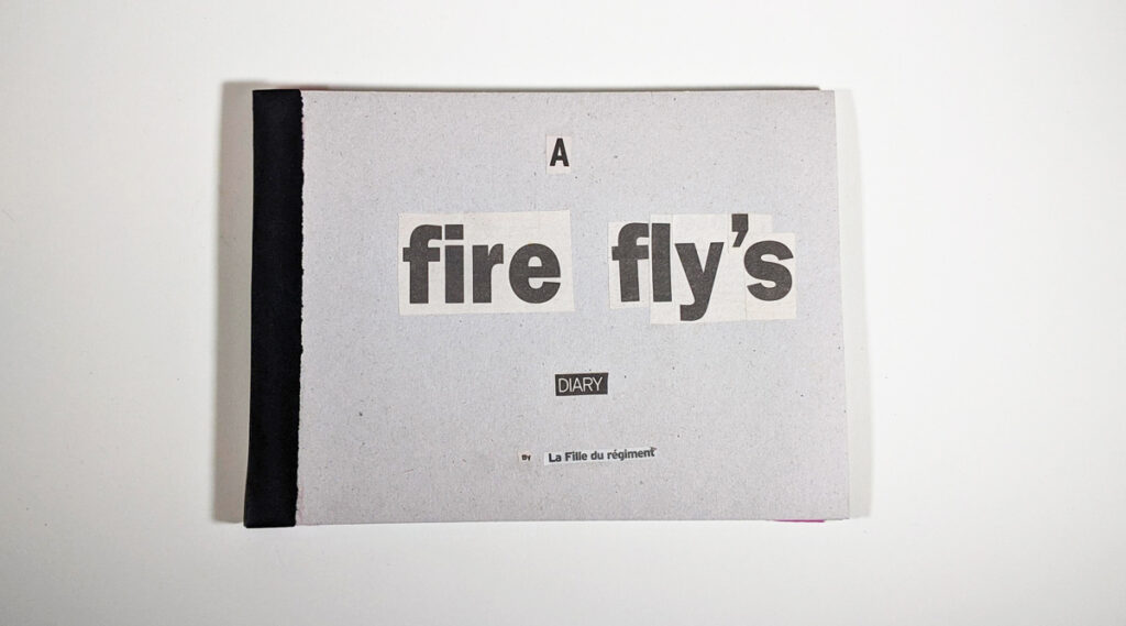 Collaged front cover of A Firefly's Diary, an artist's book